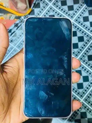Apple iPhone 13 (Used)