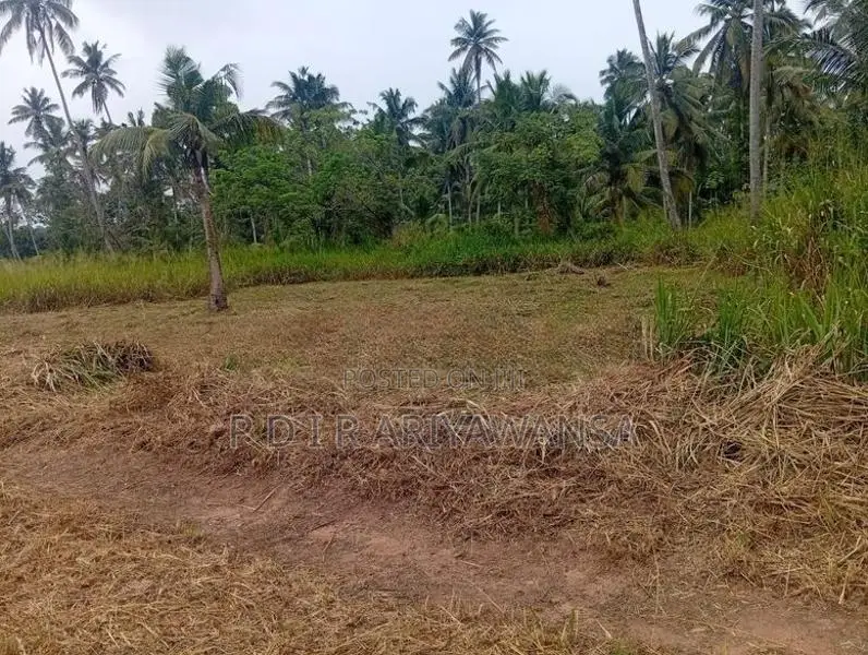 පන්නල පාරෙන් බිම් කොටස්