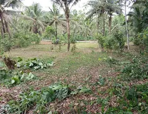 වක්ඔය පෙනෙන දුරින් ඉඩමක්