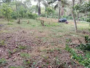 වක්ඔය පෙනෙන දුරින් ඉඩමක්