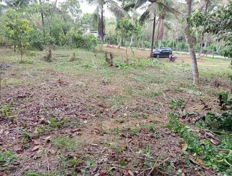 වක්ඔය පෙනෙන දුරින් ඉඩමක්