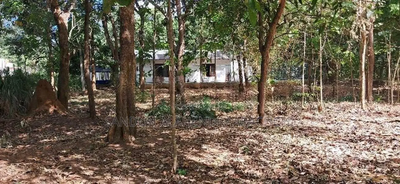 Dambulla Facing Kandalama Rd 169 P Land with A House Is for Lease.
