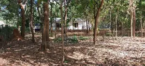 Dambulla Facing Kandalama Rd 169 P Land with A House Is for Lease.