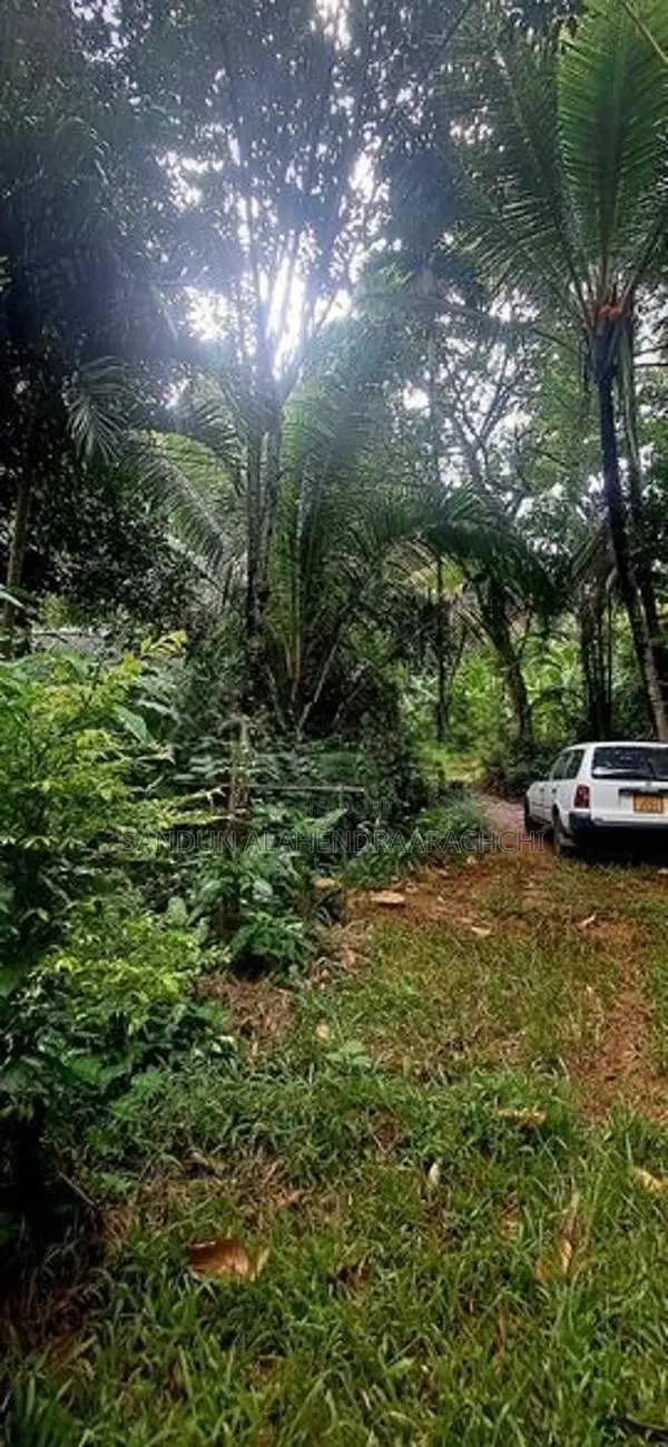 Kandy Sirimalwatta10p Land for Sale