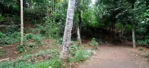 Kandy Sirimalwatta10p Land for Sale