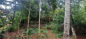 Kandy Sirimalwatta10p Land for Sale