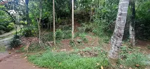 Kandy Sirimalwatta10p Land for Sale