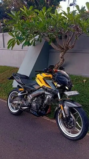 Bajaj Pulsar NS200 BS4 2018
