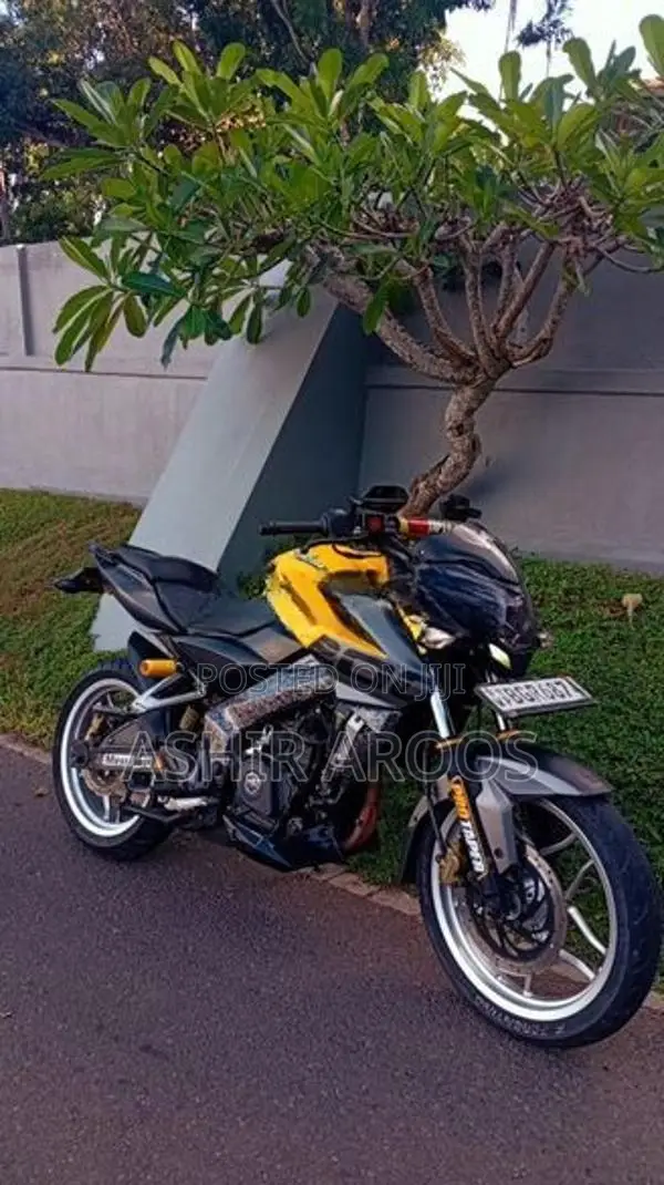 Bajaj Pulsar NS200 BS4 2018