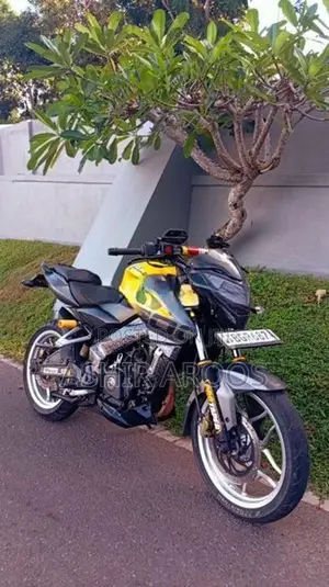 Bajaj Pulsar NS200 BS4 2018