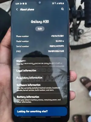 Samsung Galaxy A30 (Used)