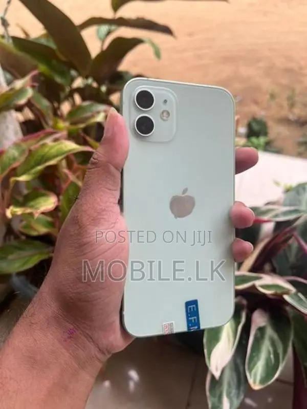 Apple iPhone 12 128GB (Used)