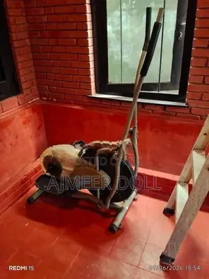 Exercise Machine