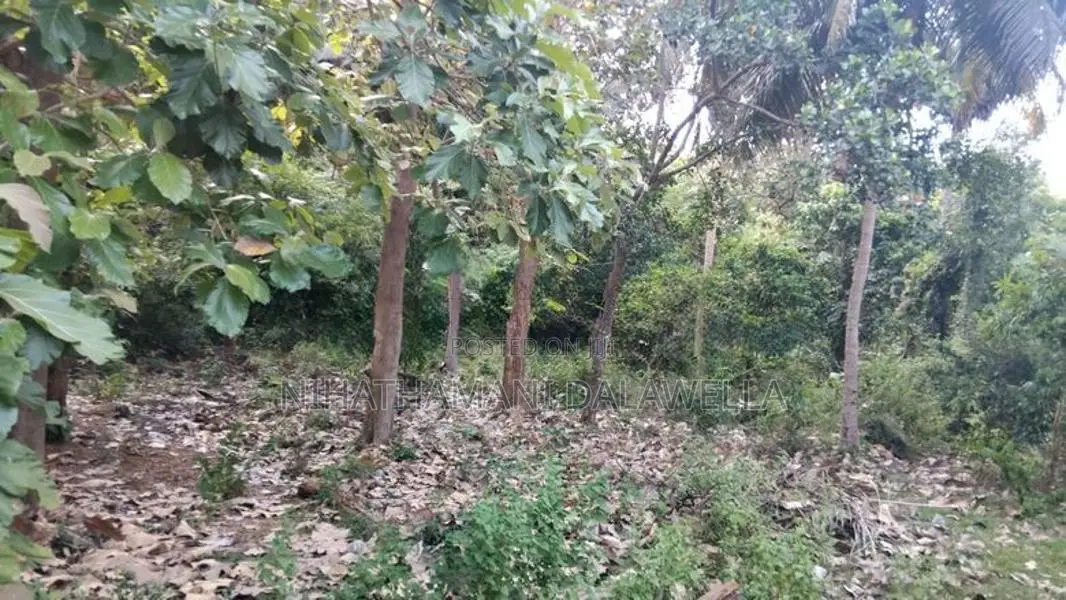 Land for sale Chinabay