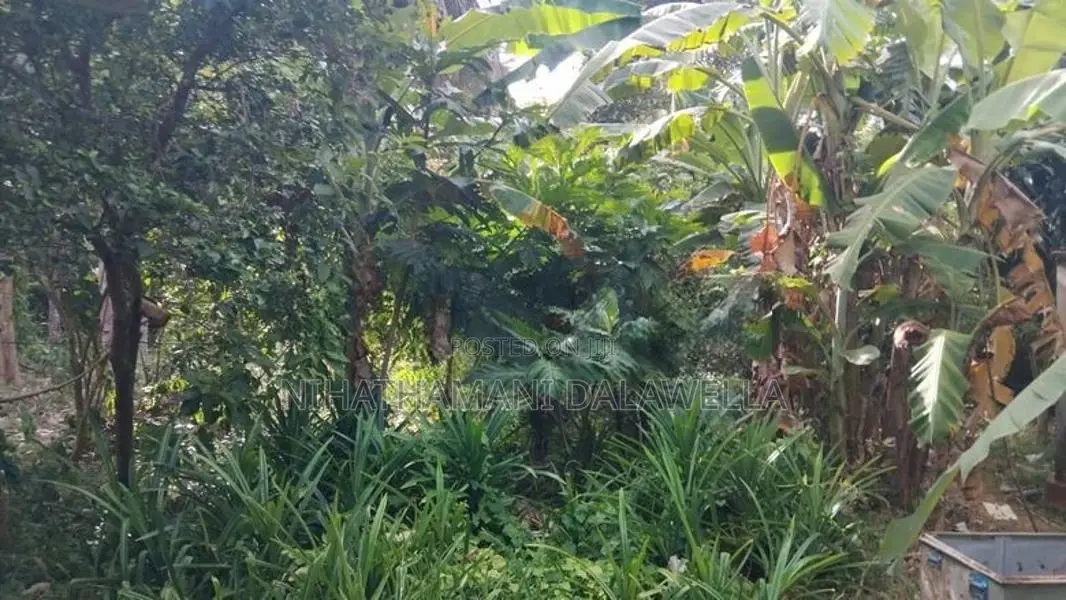 Land for sale Chinabay