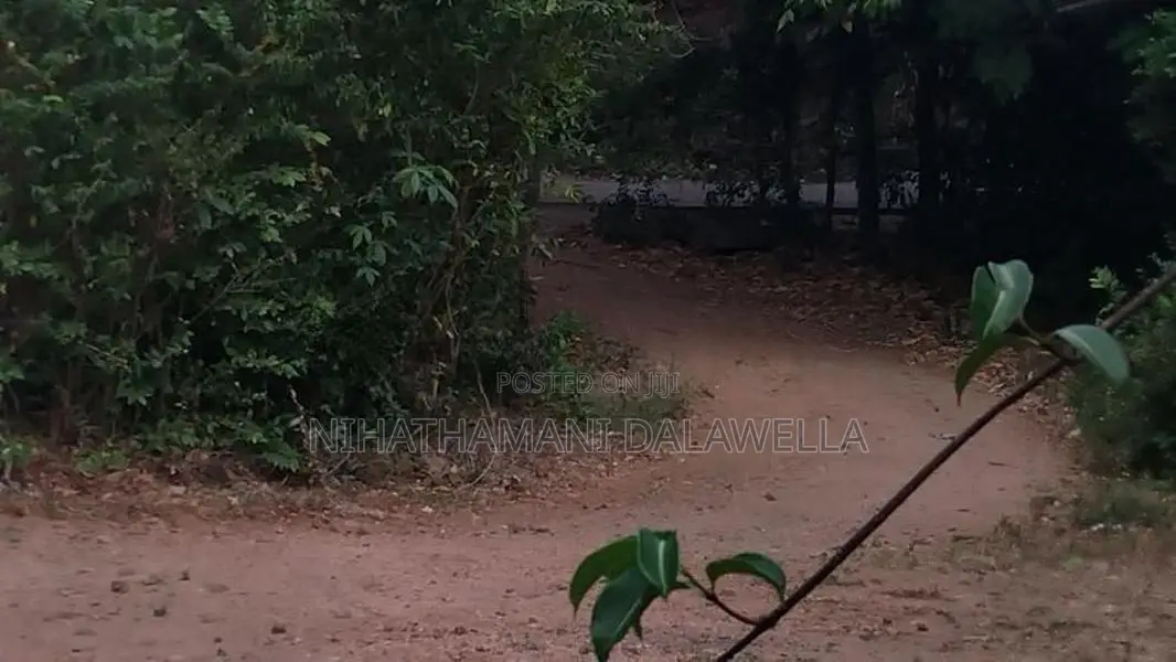 Land for sale Chinabay