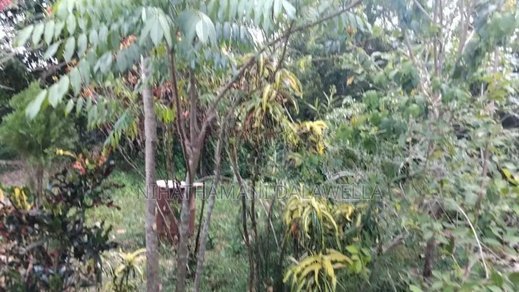 Land for sale Chinabay