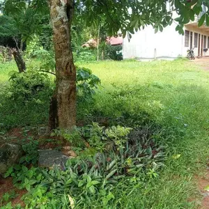 Yakkala Kalagedihena Land