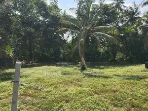 Land for Sale in Wadduwa