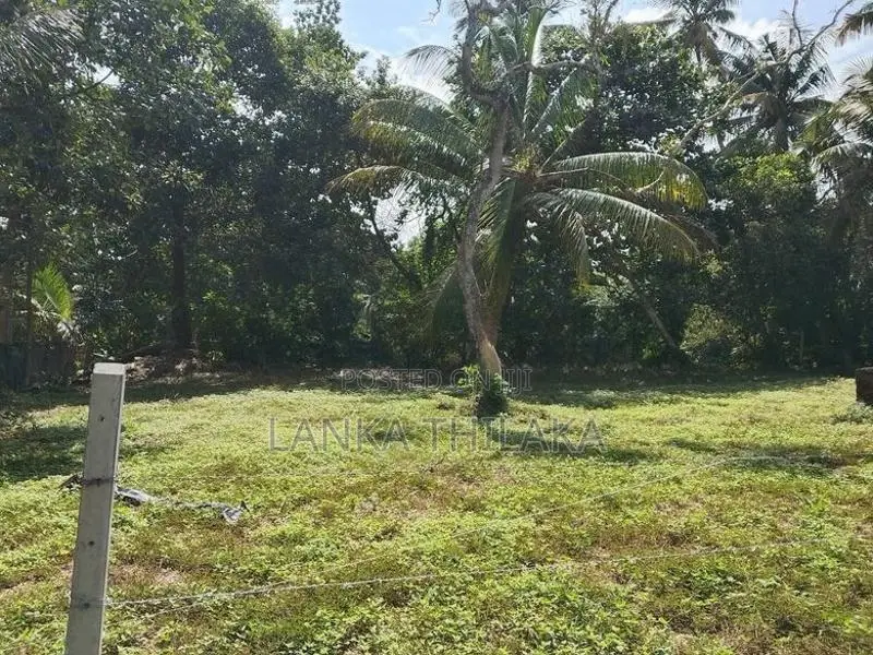 Land for Sale in Wadduwa
