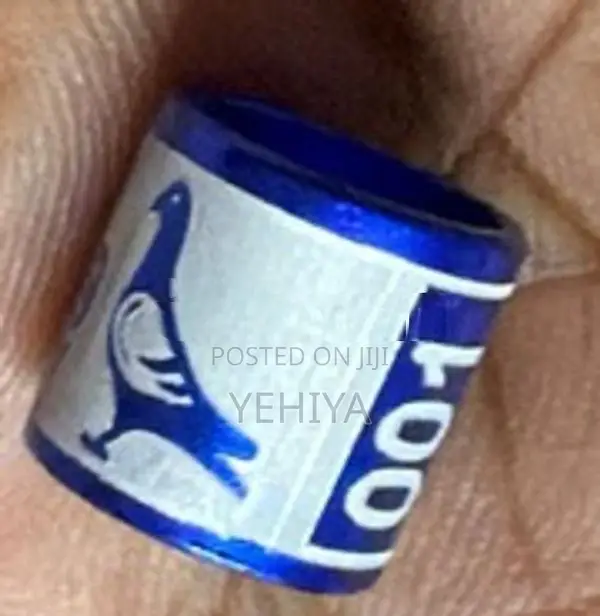 Deep Engraved Bird Rings