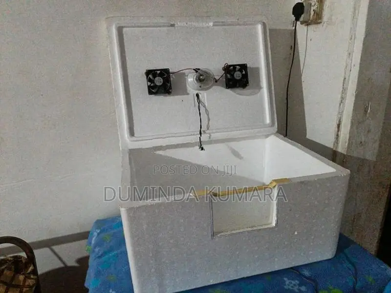 Egg Incubator