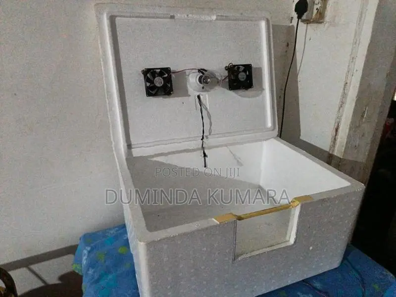 Egg Incubator