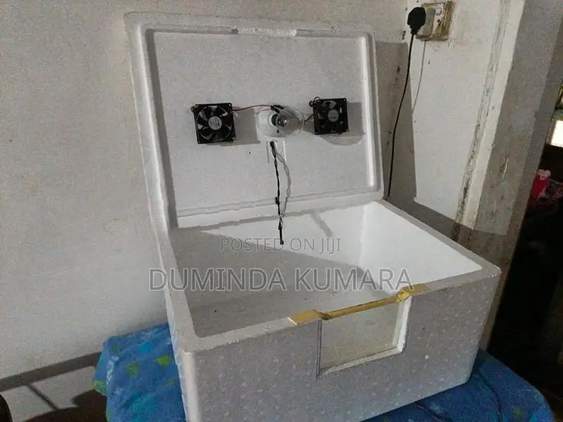 Egg Incubator
