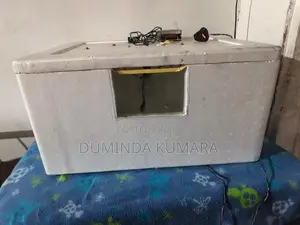 Egg Incubator