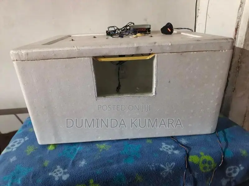 Egg Incubator