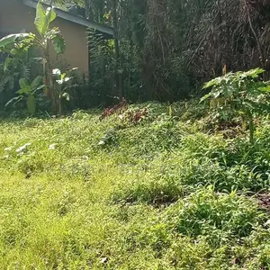 Yakkala Kalagedihena Land for Sale