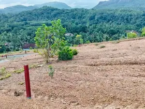 Exclusive Residential Land for Sale in Avissawella