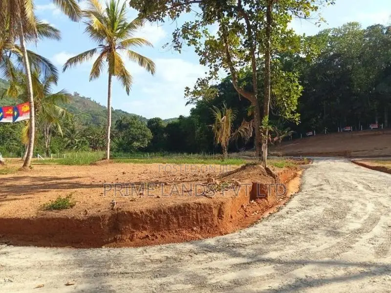 අලව්ව නගරයට අසන්නයෙන් ඉඩමක්