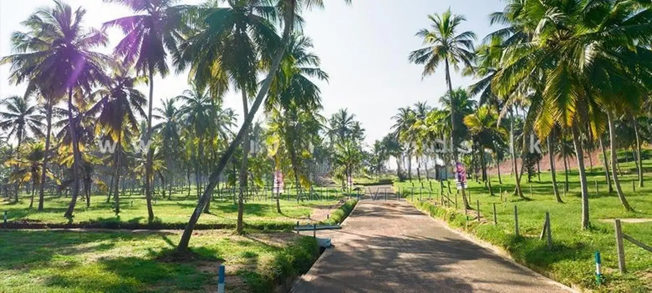 නාරම්මල අඩුවට ඉඩමක් විකිණීමට