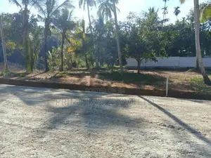 අලව්ව නගරයට අසන්නයෙන් ඉඩමක්