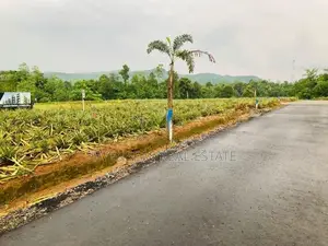 Residential Land for Sale in Eheliyagoda