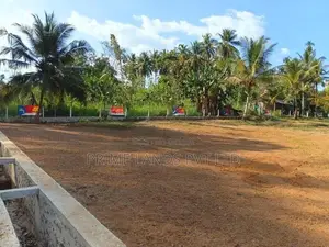 අලව්ව නගරයට අසන්නයෙන් ඉඩමක්