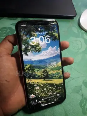 Apple iPhone X 256GB (Used)