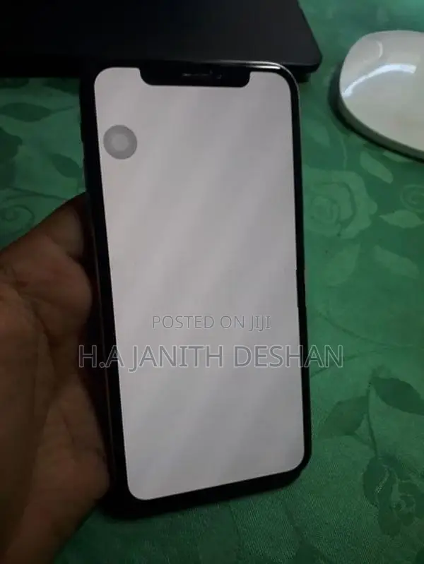 Apple iPhone X 256GB (Used)