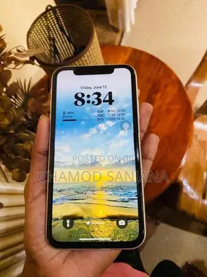 Apple iPhone 11 (Used)