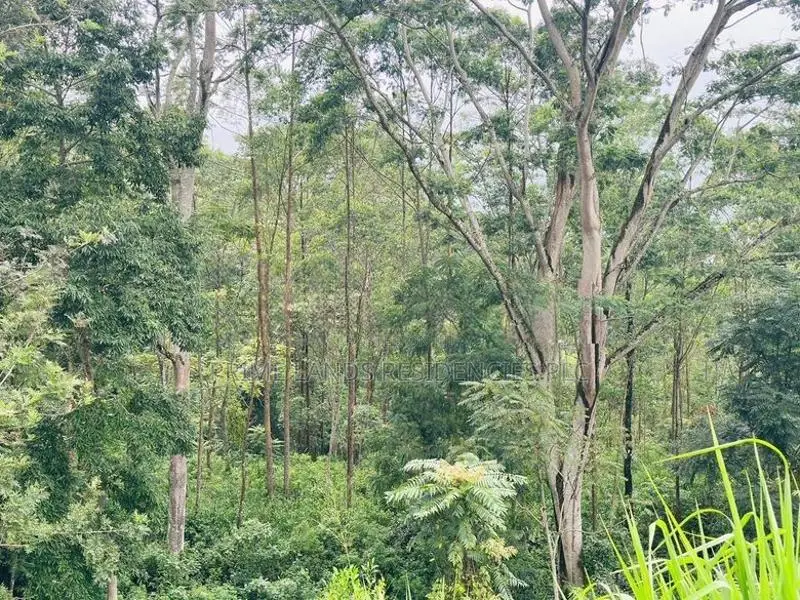 Lands for Sale in Pussellawa