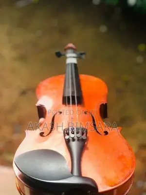 Violin