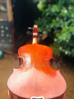 Violin