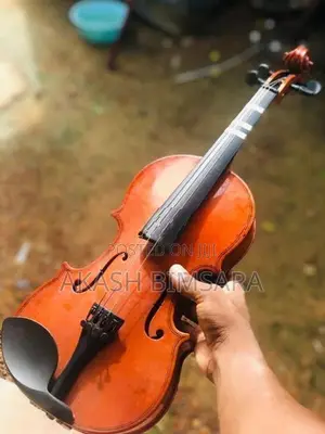 Violin