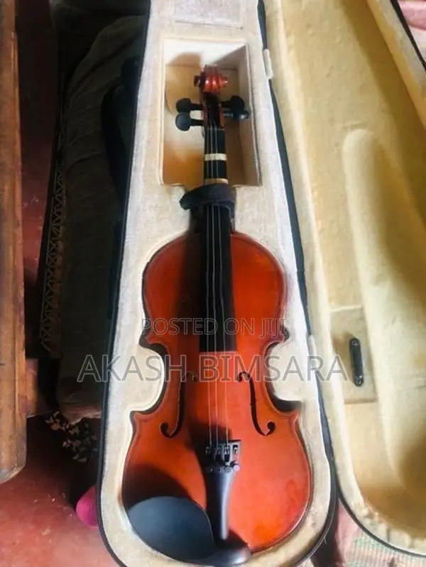 Violin