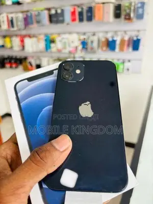 Apple iPhone 12 256GB Black Fullset (Used)