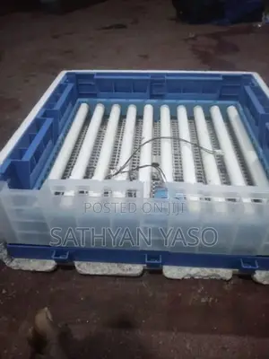 Egg Incubator