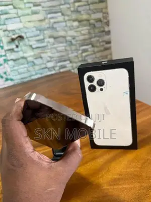 Apple iPhone 13 Pro Max 256GB (Used)