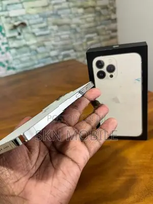 Apple iPhone 13 Pro Max 256GB (Used)
