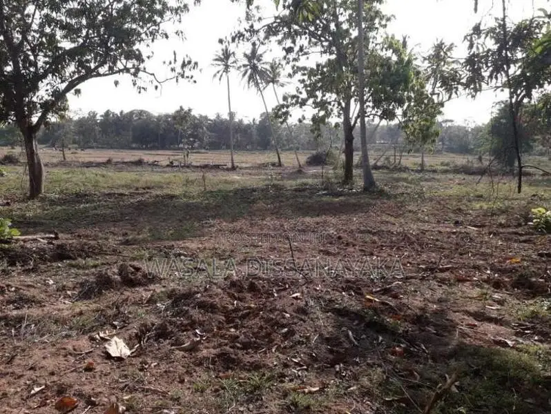 සුන්දර වටපිටාවක පිහිටි ඉඩමක් මහව